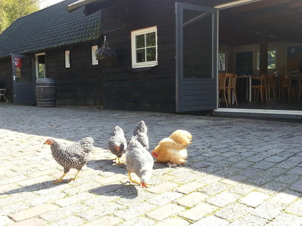 Het Bonte Paard Bed and Breakfast Dwingeloo Zewnętrze zdjęcie