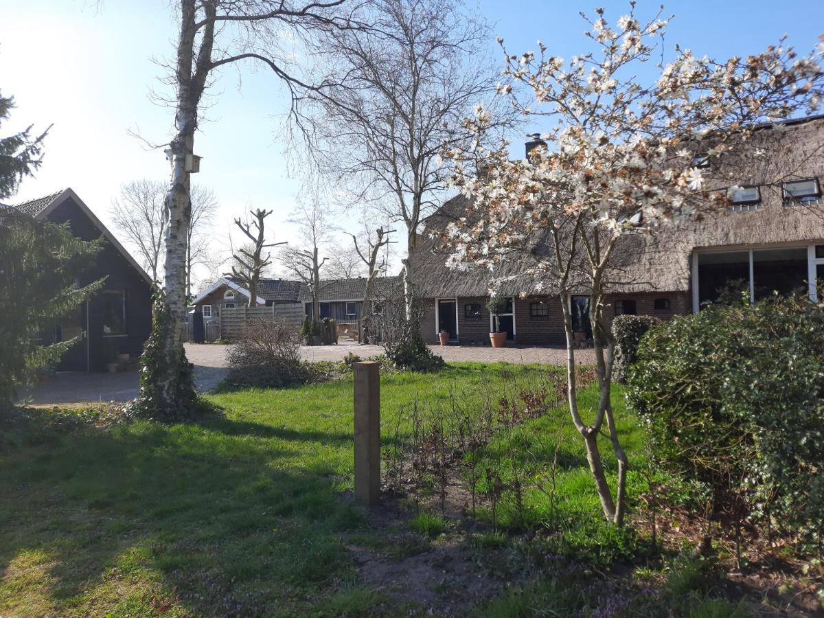 Het Bonte Paard Bed and Breakfast Dwingeloo Zewnętrze zdjęcie