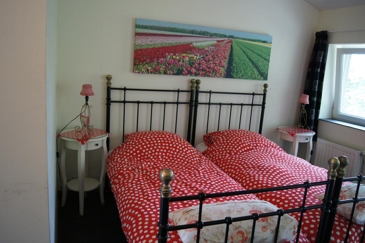 Het Bonte Paard Bed and Breakfast Dwingeloo Zewnętrze zdjęcie
