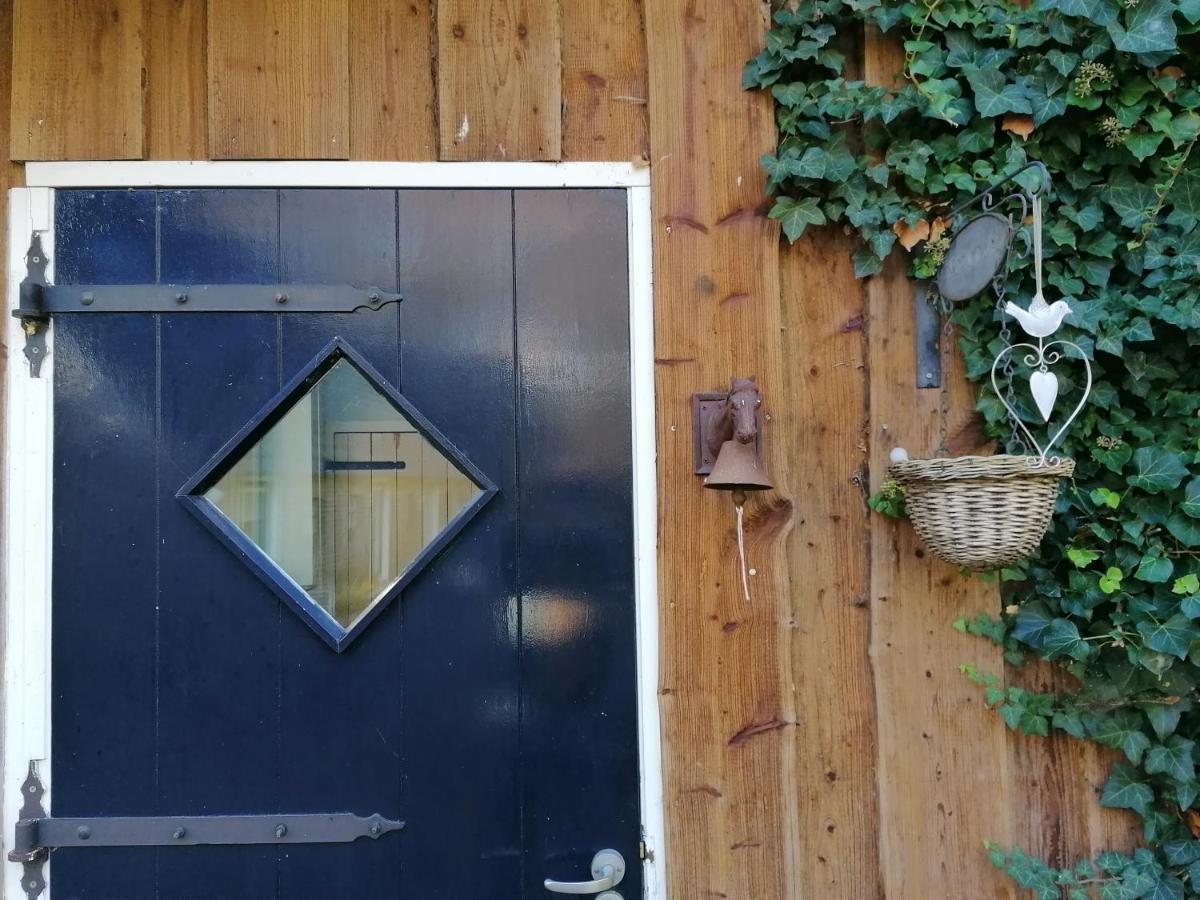 Het Bonte Paard Bed and Breakfast Dwingeloo Zewnętrze zdjęcie
