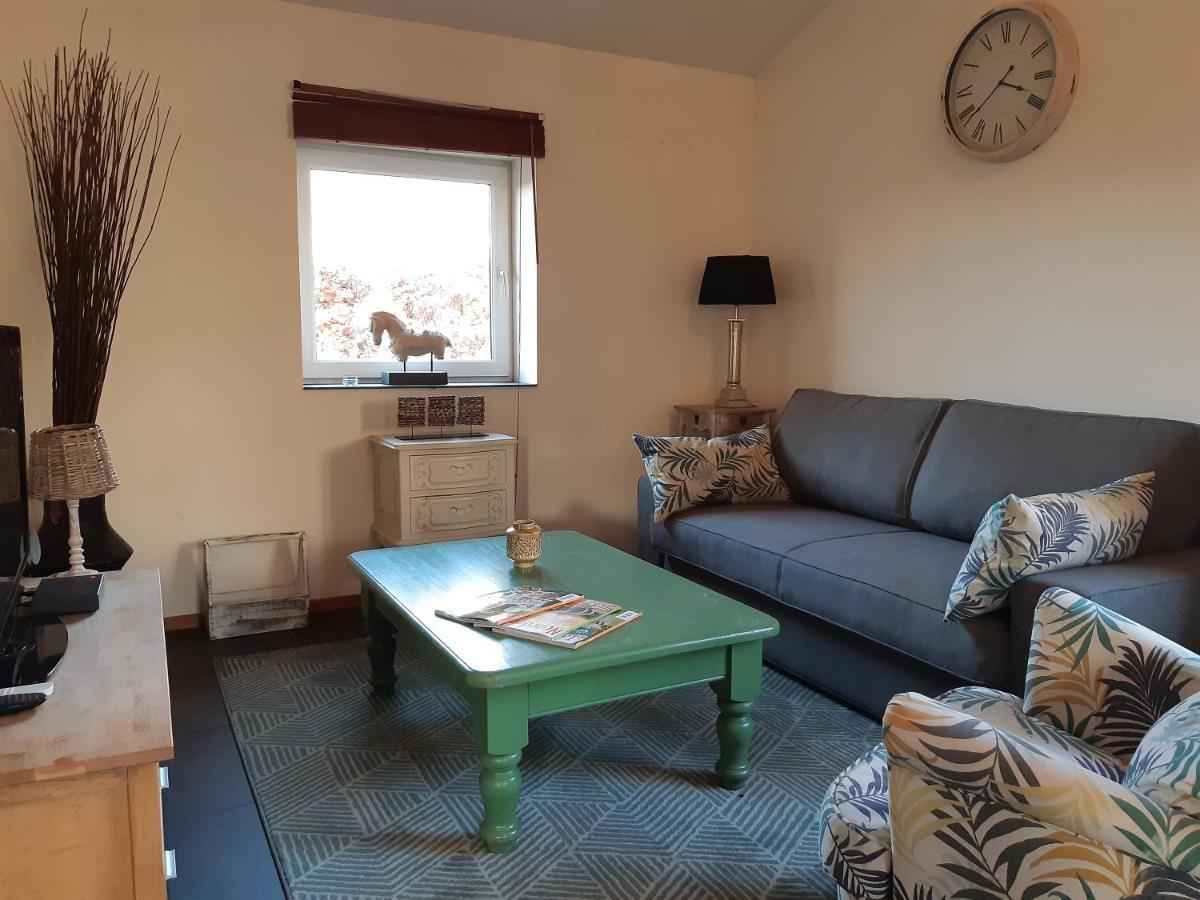 Het Bonte Paard Bed and Breakfast Dwingeloo Zewnętrze zdjęcie